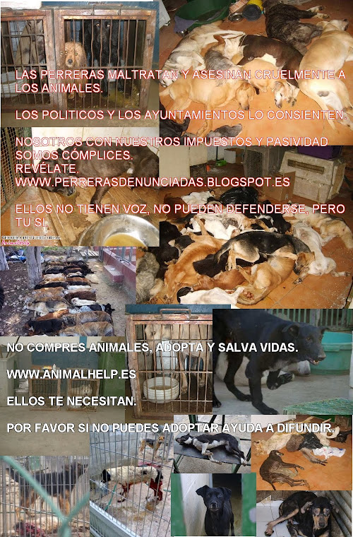 MAS MOTIVOS PARA DECIR NO A LA VENTA DE ANIMALES