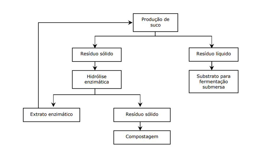Классификация векселей. Основные виды векселя. Характеристики векселя таблица. Классификация векселей по видам эмитента. Виды векселей.