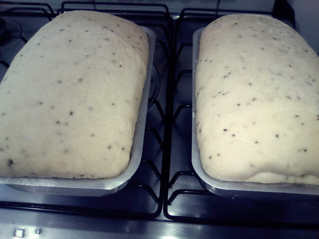 Esta receita de pão de leite com erva doce é daquelas com gostinho de infância, de receita caseira, que lembram aquele pão caseiro feito pela vovó. Trata-se de um pão extremamente macio, com um perfume delicioso, que se espalha pela casa e chama a família toda para a mesa do café da tarde. Experimente e ela se tornará, certamente, uma de suas receitas de pães preferida.