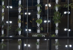 Huerta vertical con botellas y led