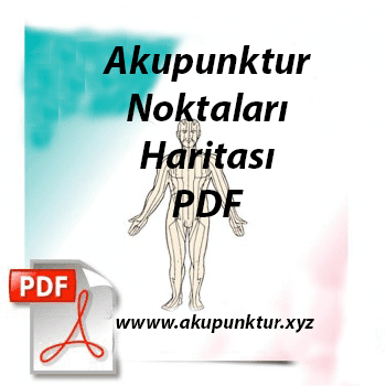 Akupunktur Noktaları Haritası Pdf Akupunktur Noktaları Haritası Pdf