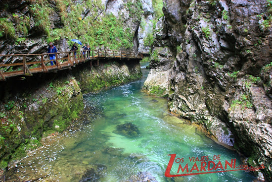 Pasarelas de Vintgar Gorge