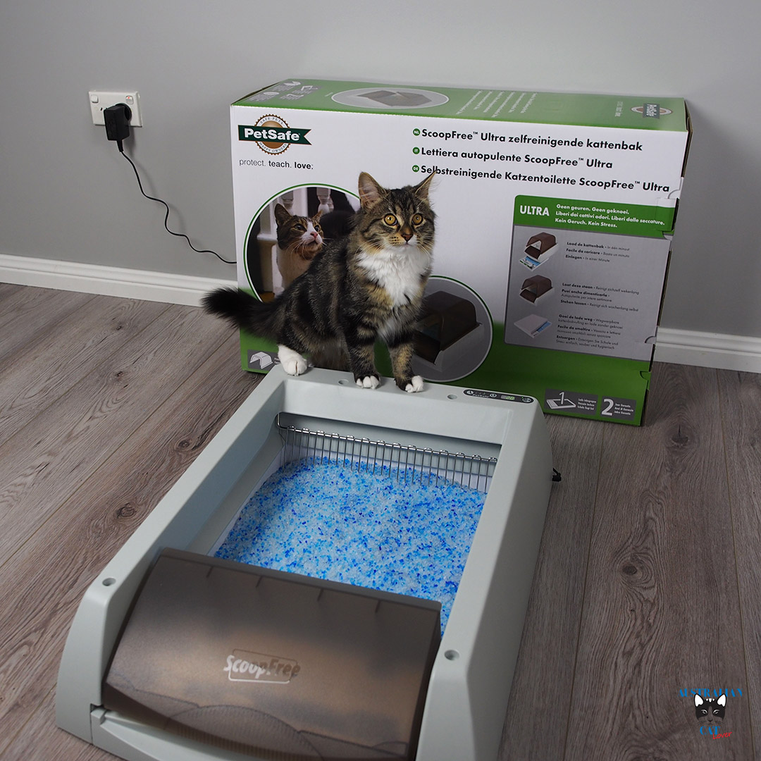 ScoopFree® Ultra SelfCleaning Litter Box Review Australian Cat Lover