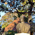 estátua de Reis Gomes no Jardim Muncipal