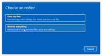 reset Windows 10 options