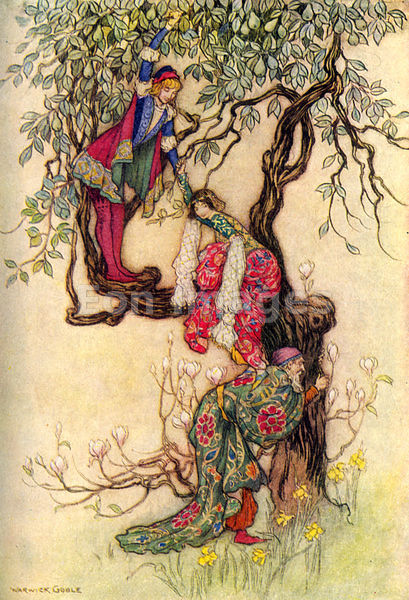 Risultato immagini per the merchant's tale damian