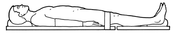 Supine / Anatomical Position