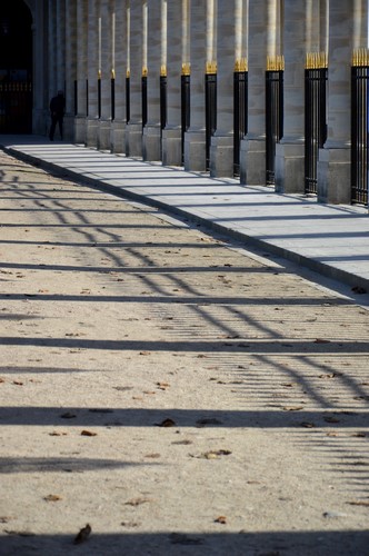 Jardin du papier royal - Paris