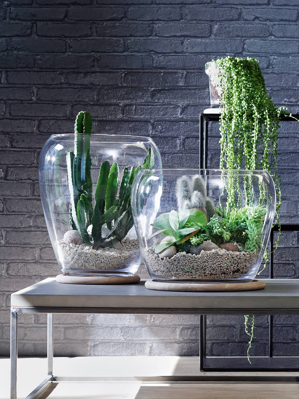 Macetas y terrarios abiertos de vidrio soplado a boca