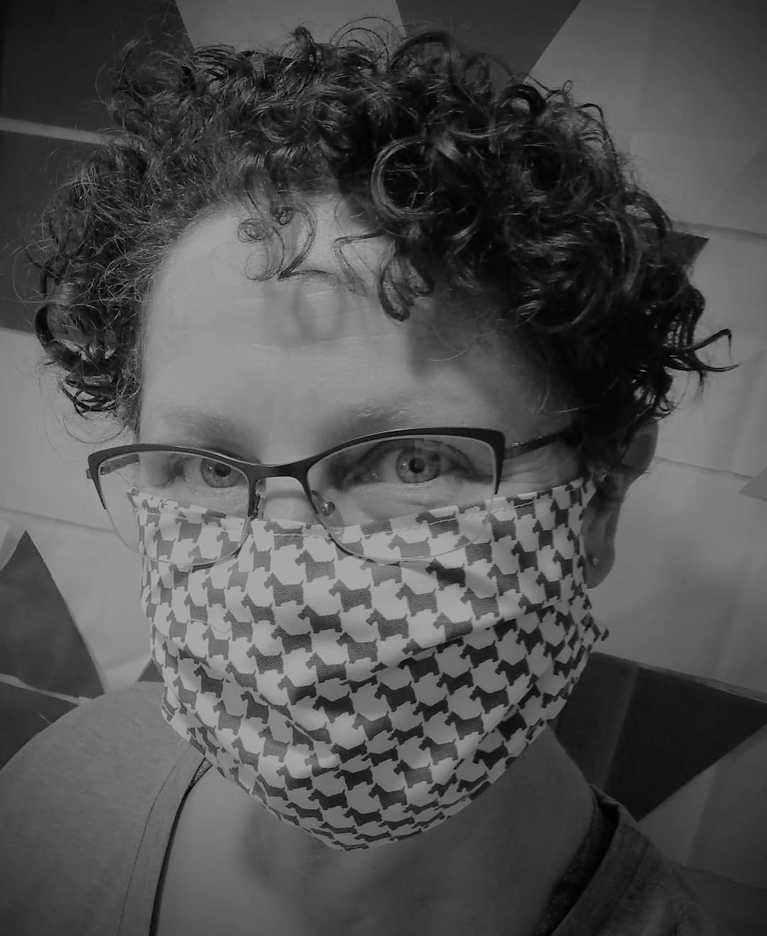 Adventurous Quilter Mask Example 1