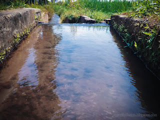 Natural Agricultural Environment Of Irrigation River Water Flow At The Village Ringdikit North Bali Indonesia