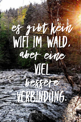 Die 50 besten Zitate zu den Themen Wald und Bäume | Waldzitate | Baumzitate | Naturzitate | Zitate-Wald | Inspirierende-Zitate