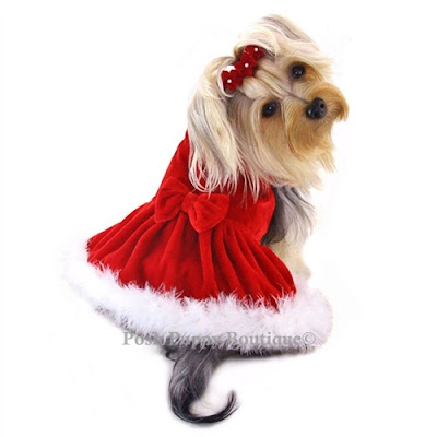 Elegant Red Velour Furry Dress Elegant Red Velour Furry Dress