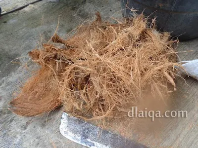 sabut kelapa (coco fiber)