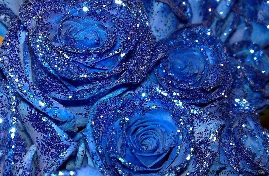 Блестящие розы букет. Цветы с блестками. Розы с блестками. Синие цветы с блестками.