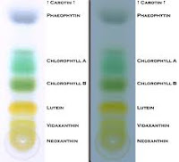 CHROMATOGRAPHY TEXTBOOK : AFFINITY CHROMATOGRAPHY