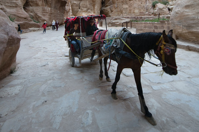 Pequeña calesa de caballo. Petra. Petra_Guia_Jordania