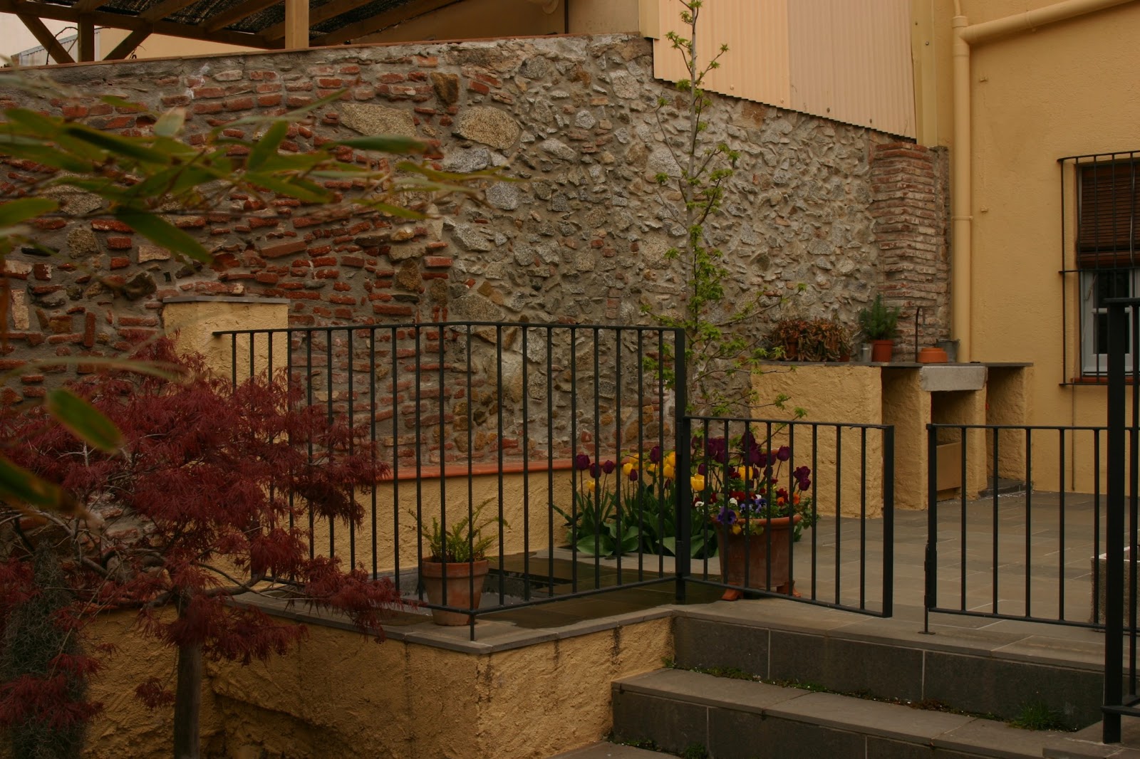 jardinitis: Pequeño jardín de pueblo