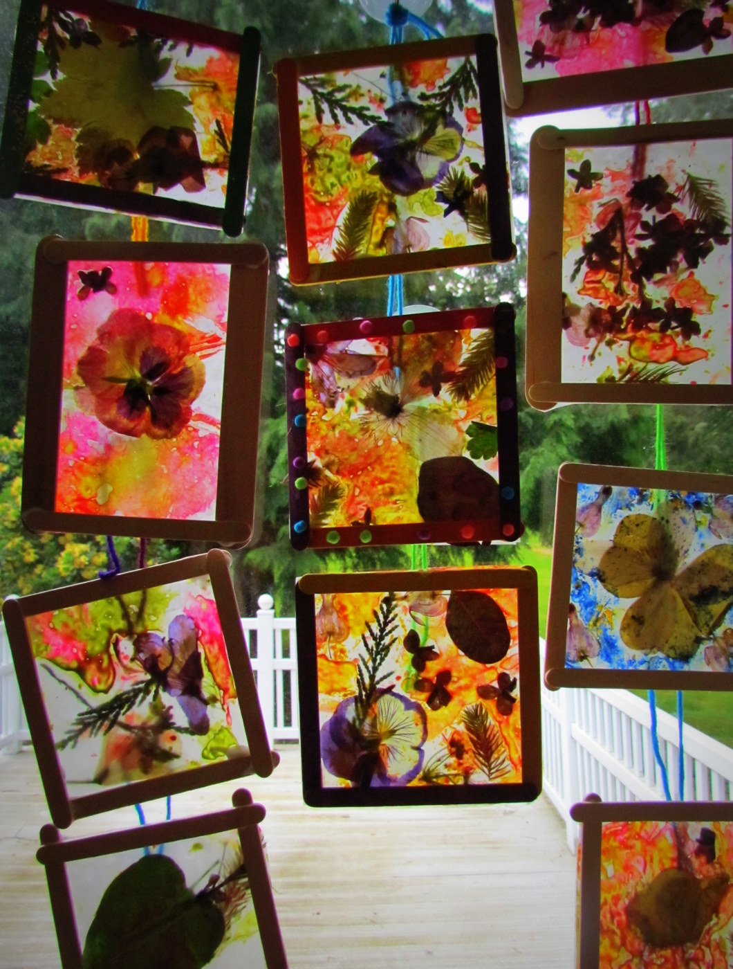 Learn To Grow Stained Glass Craft Dried Flowers, Leaves & Crayon