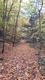 Sentier de Split Rock Mountain, Adirondaks, feuilles mortes, sentier, forêt l'automne