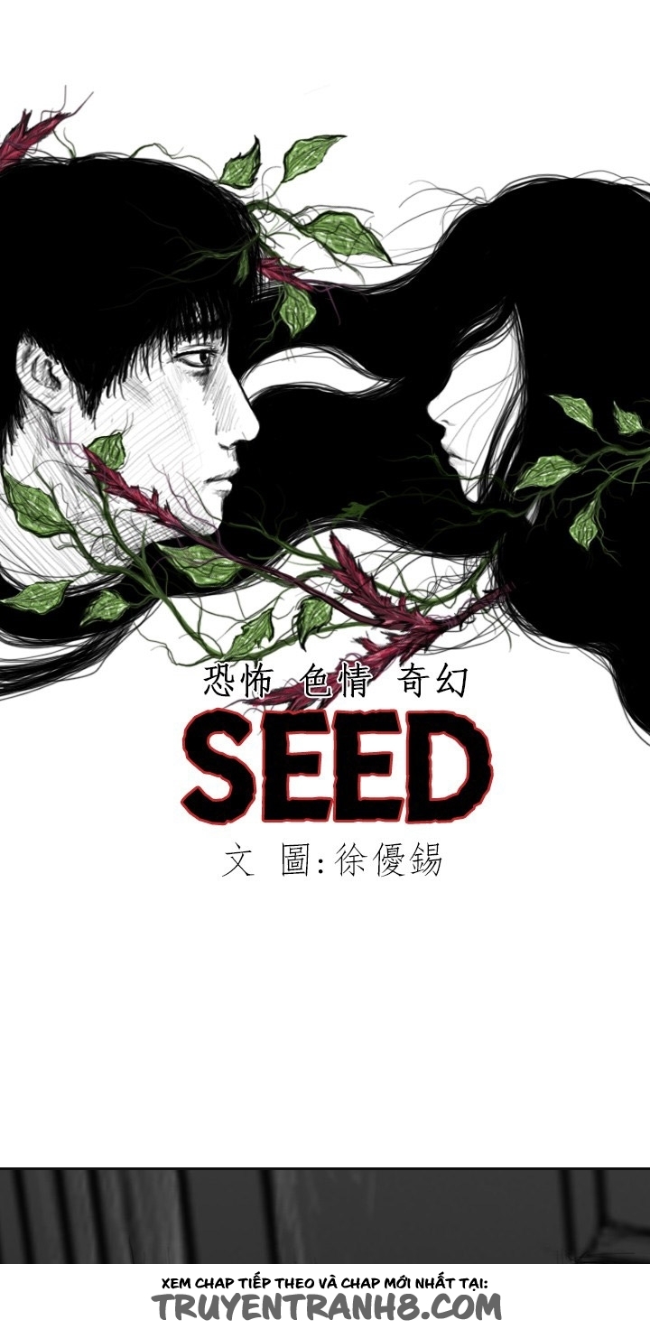 Hạt Giống Mỹ Nhân chap 15 - Trang 11