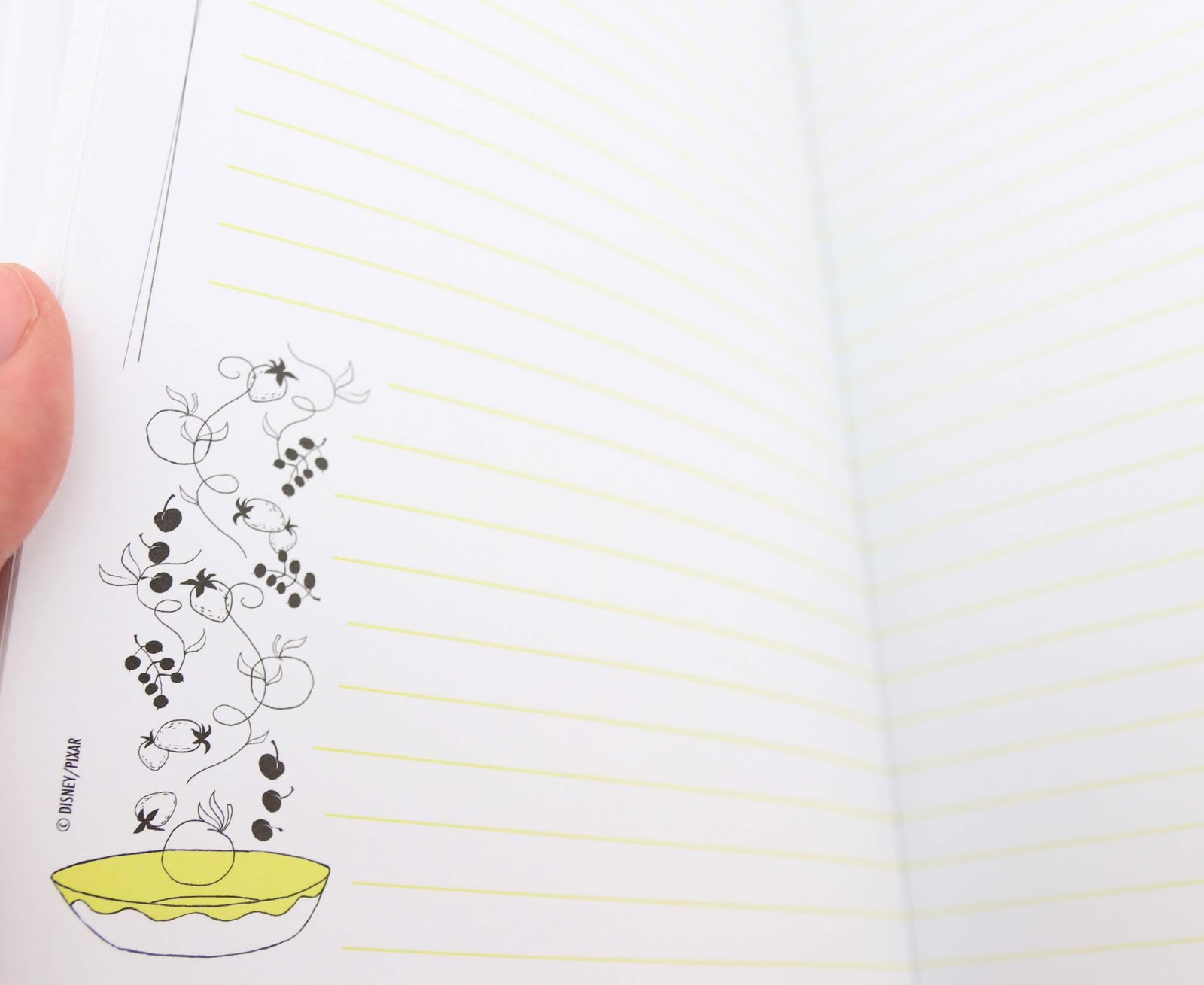 Dan the Pixar Fan Ratatouille "Anyone Can Cook!" Journal