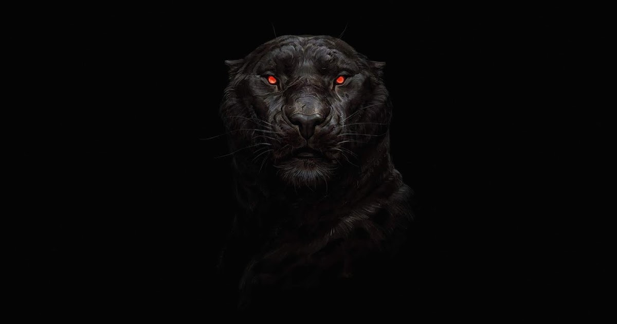 Black Tiger Wallpaper Cave Wallpapers