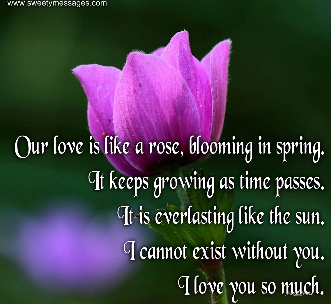 I LOVE YOU MESSAGES FOR GIRLFRIEND Beautiful Messages