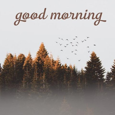 good morning my friend good morning my friend
