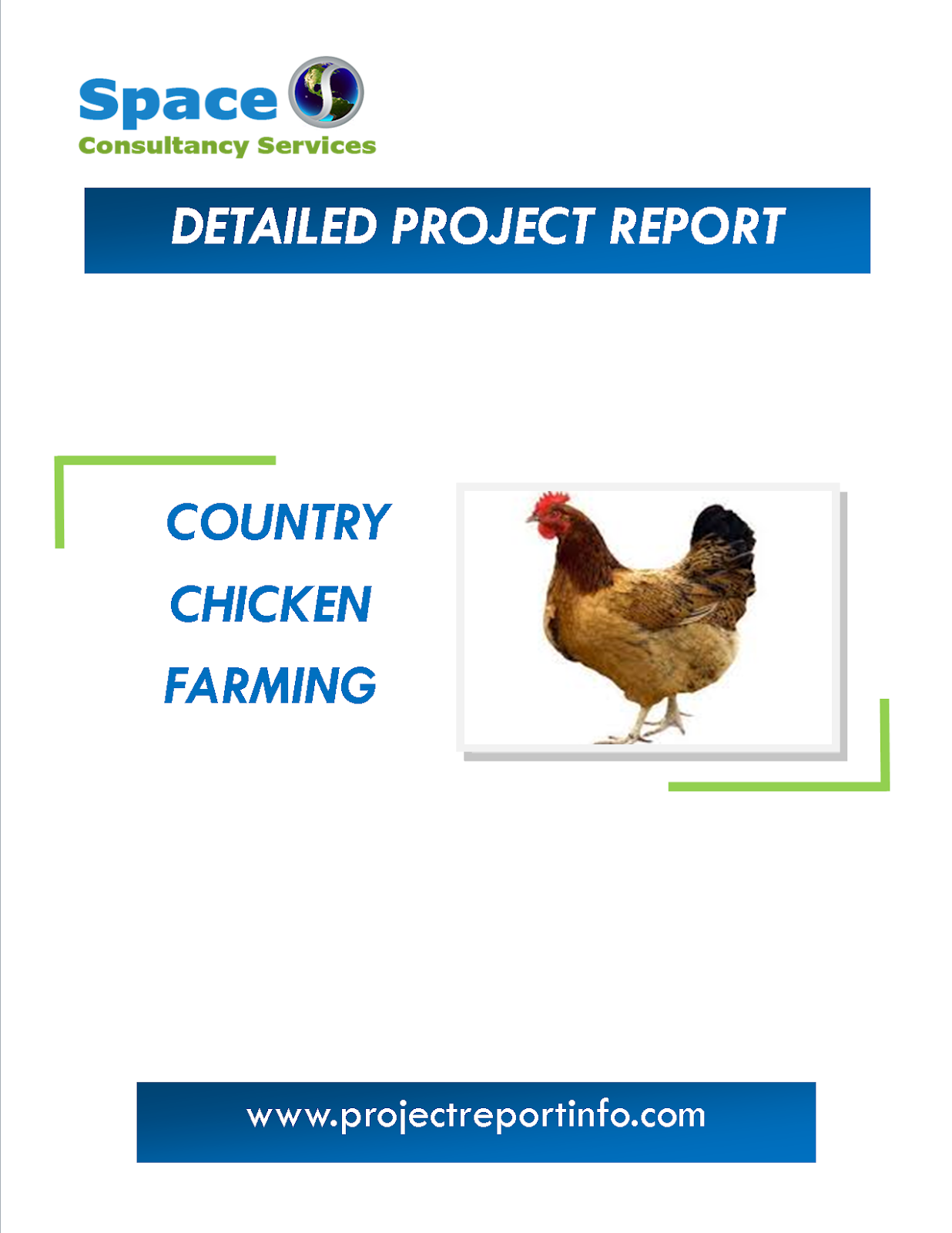 Project Report on Country Chicken Farming Space Consultancy Services
