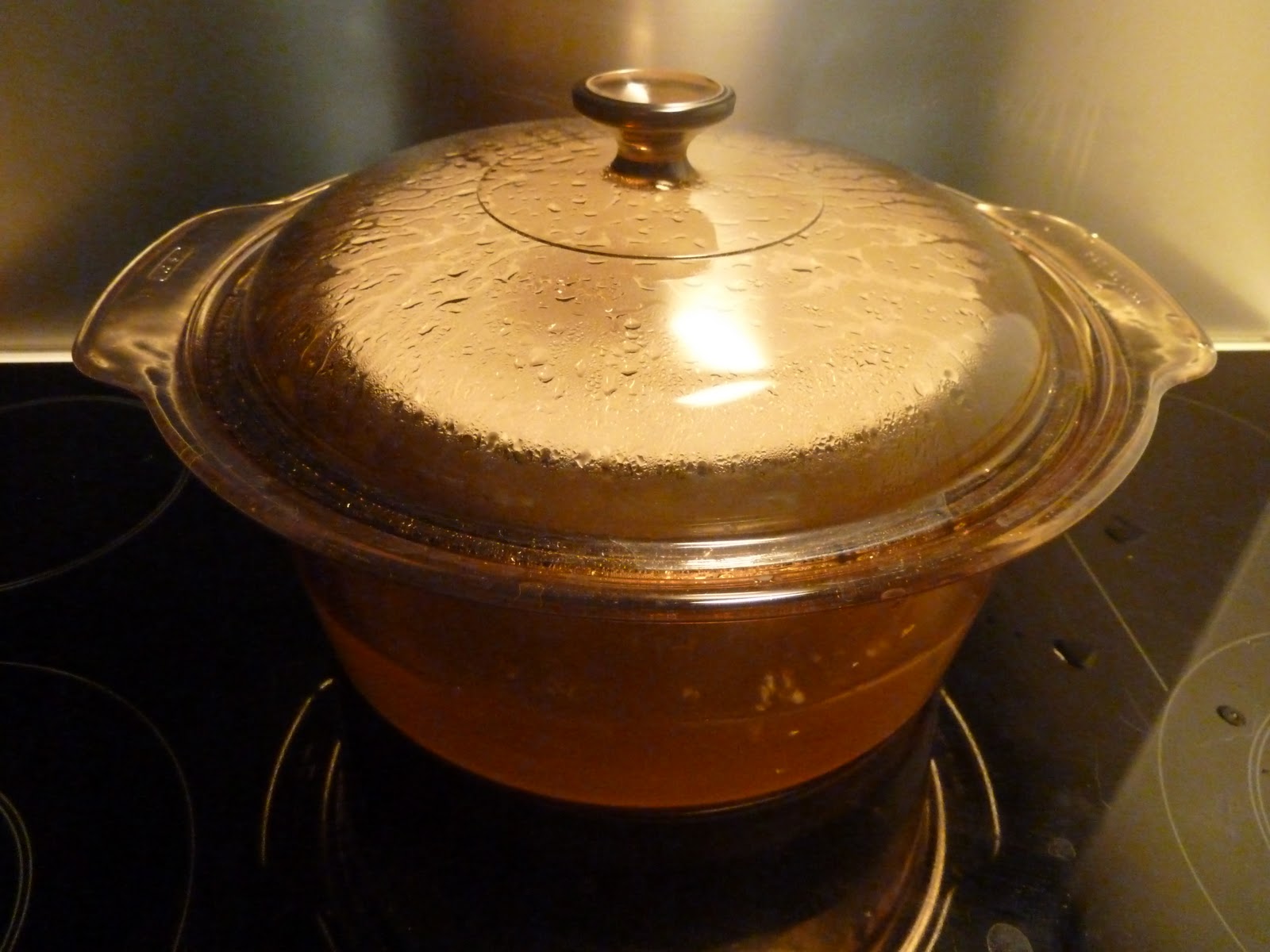 Family FECS How to DoubleBoil Chinese Soup without the Chinese