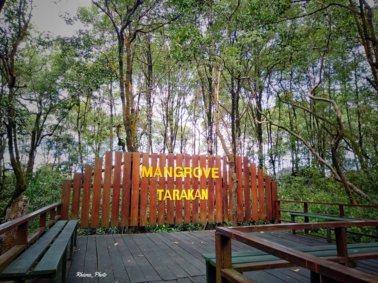 Hutan Mangrove Tarakan Kalimantan Timur