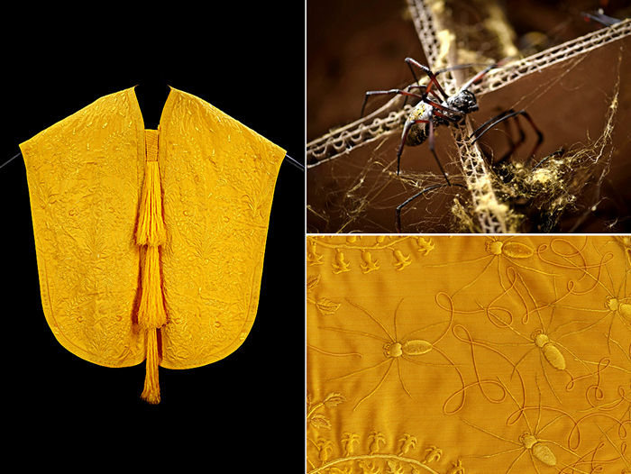 Spider Silk স্পাইডার সিল্ক ফাইবার Textile Lab Textile Learning Blog