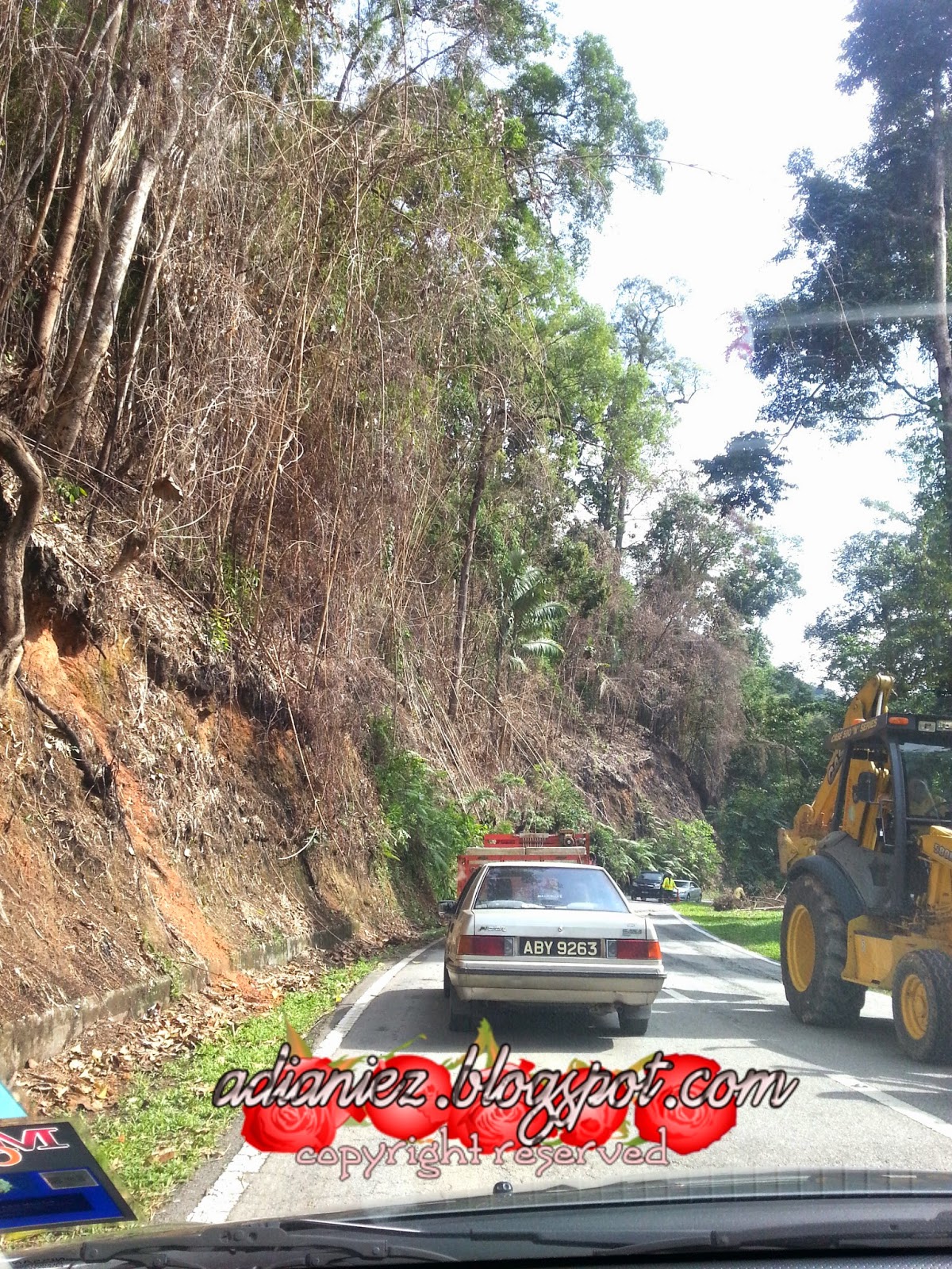 FINALLY, SINGGAH SEKEJAP ~ LATA ISKANDAR & BHARAT TEA PLANTATIONS (CAMERON VALLEY)