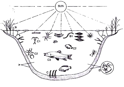 पारिस्थितिक तंत्र पारिस्थितिक तंत्र