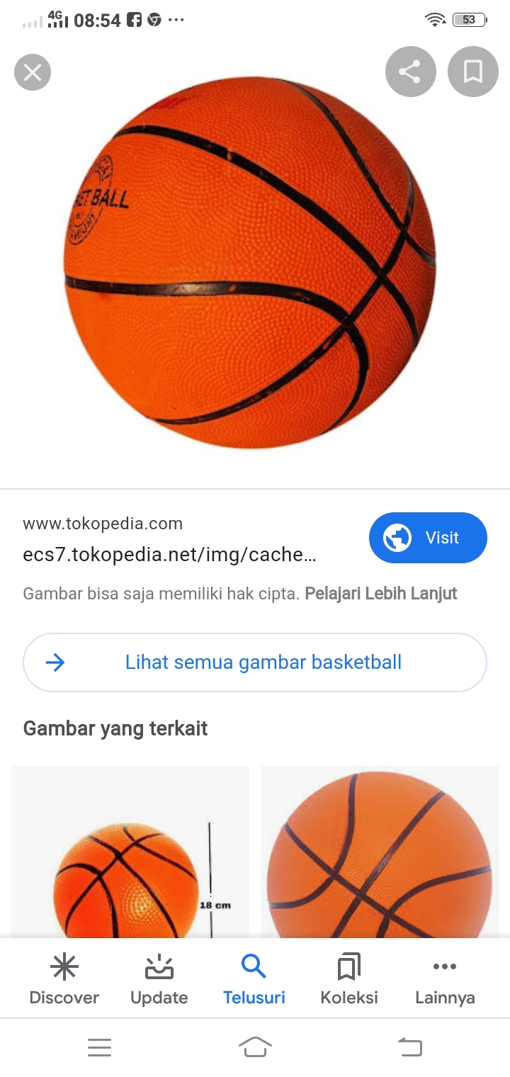 Sejarah bola basket di dunia