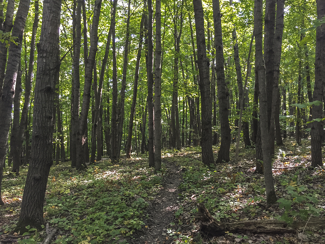 Wisconsin Explorer Hiking to Hanson Rock in the Kickapoo Valley Reserve