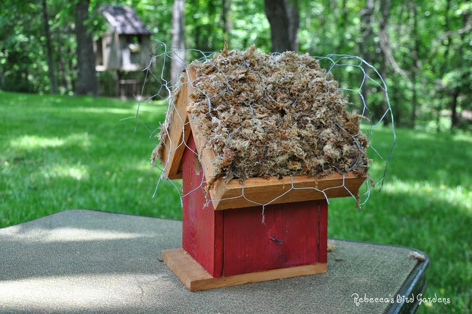 Rebecca's Bird Gardens Blog DIY Living Roof Birdhouse