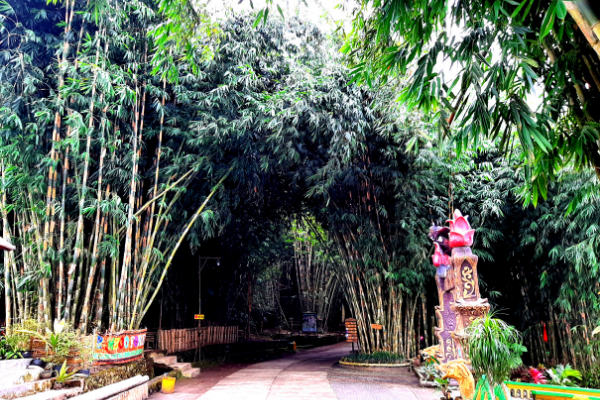 hutan-bambu-lumajang