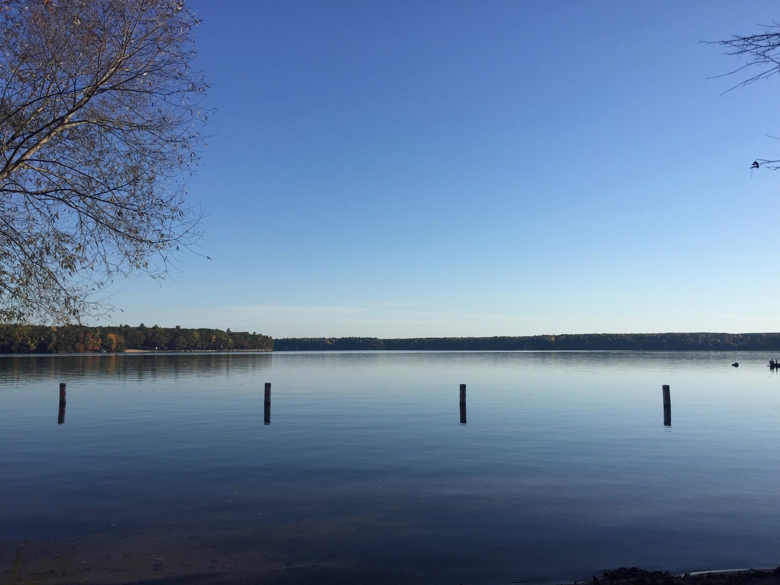 Travel Reviews & Information Newaygo, Michigan / State Campground