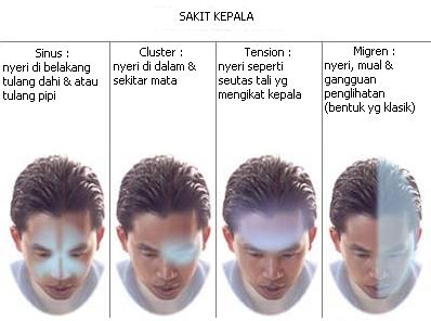 PMI TASIK: PERTOLONGAN PERTAMA BAG. 2 : ANATOMI