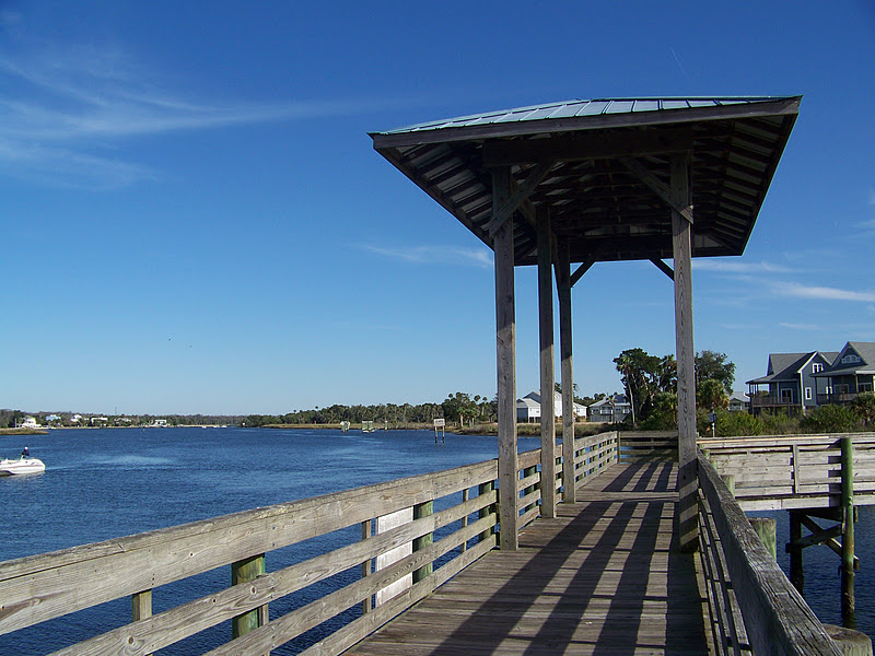 Our Nature: January 2012