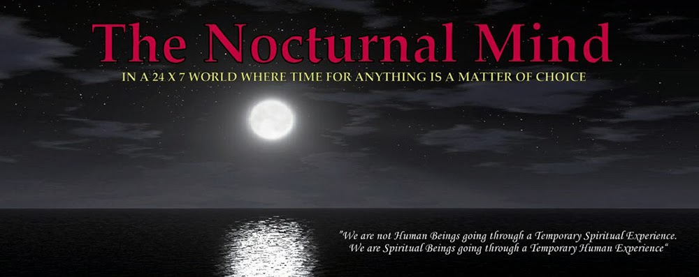 The Nocturnal Mind