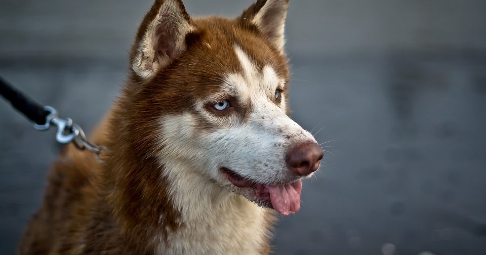 Ağustos, 2019 tarihine ait yayınlar gösteriliyor ...