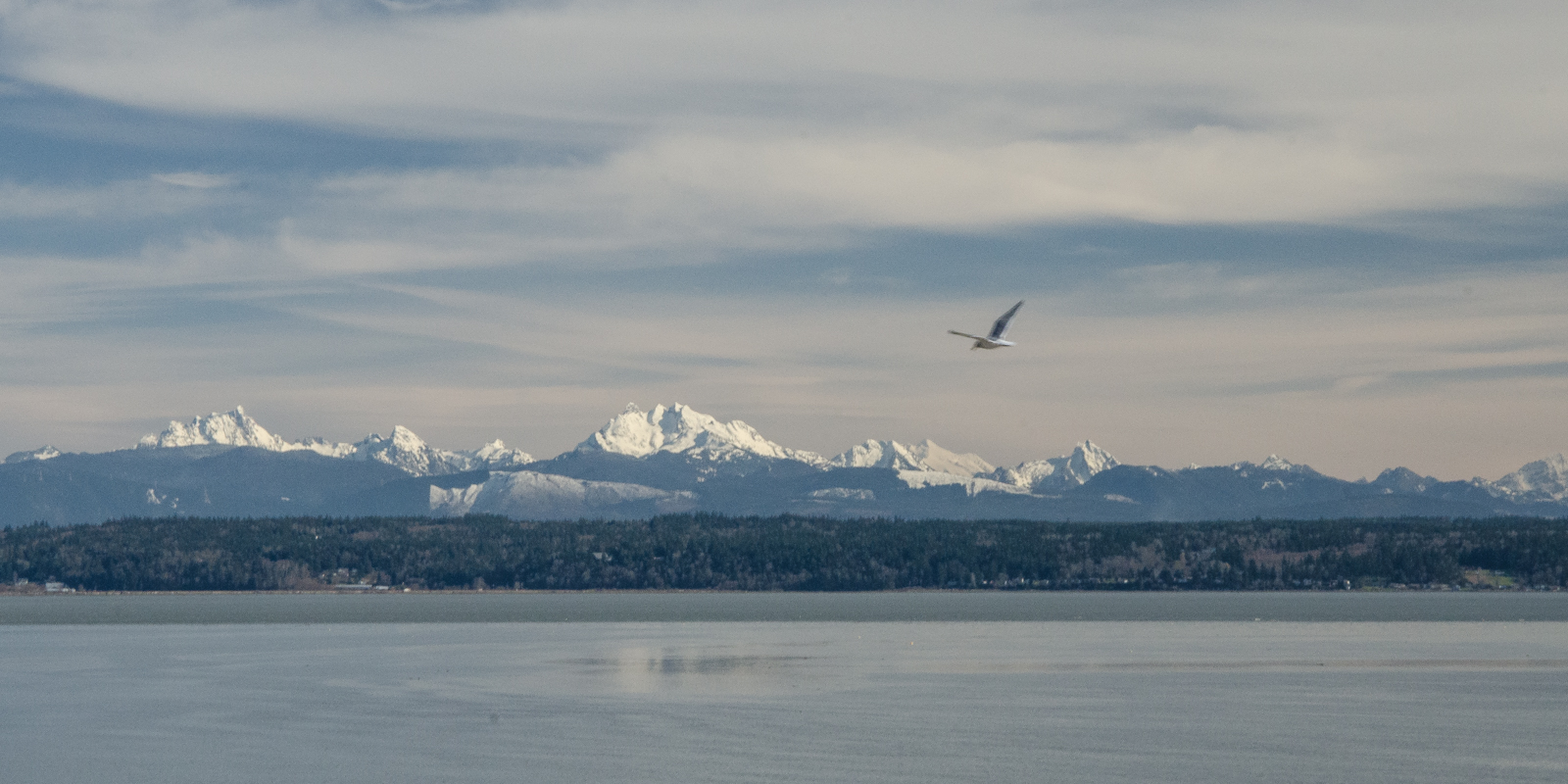 Pacific Northwest Photography Camano Island Cascade Views