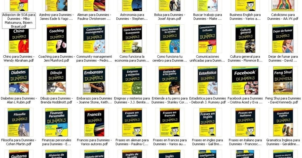 Libros Dummies (62 PDF )