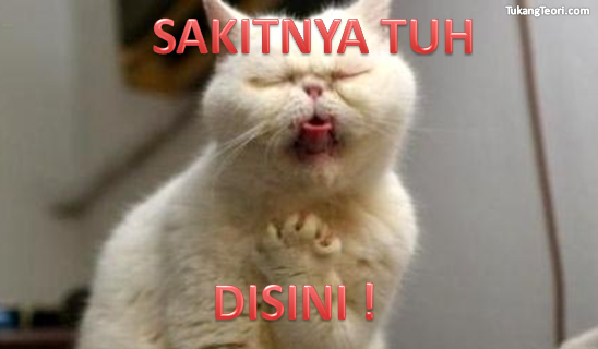 Gambar Kucing Lucu Komentar Facebook Dulayex Blog Belakangan Seliweran Nah