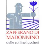 ZAFFERANO DI MADONNINO