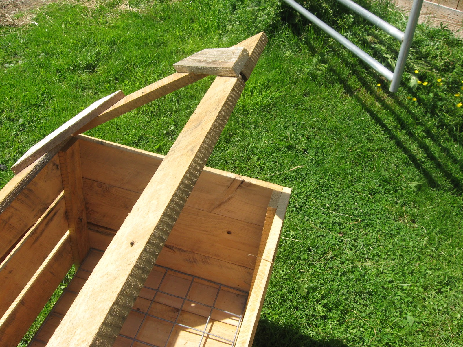 The Dancing Donkey Slow Feeders Perfected