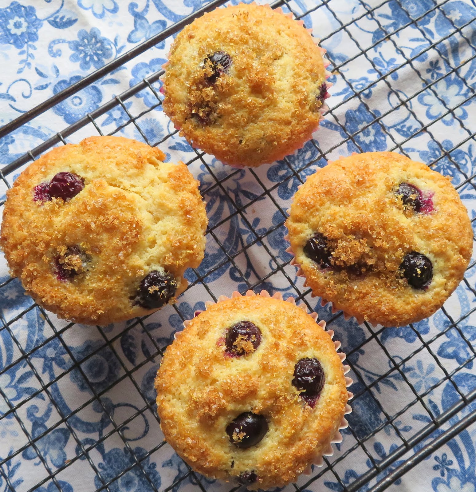 Four Perfect Blueberry Muffins | The English Kitchen